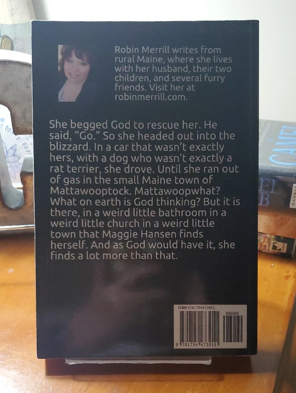 LARGE PRINT Shelter by Robin Merrill - Blue Cover Paperback
